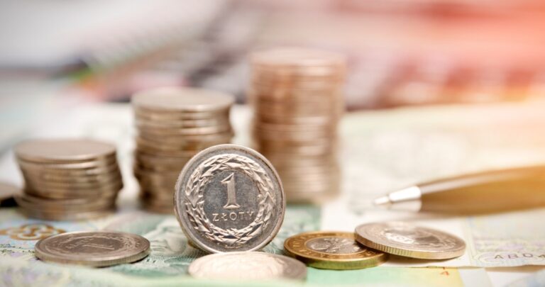 Kursy walut. Ile kosztują dolar, euro i frank we wtorek, 17 lipca? Kursy walut. Ile kosztują dolar, euro i frank we wtorek, 17 lipca?