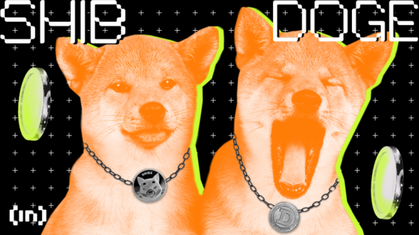 Legendarny Pies Shiba Inu Kabosu Doczeka Sie Swojego Pomnika 8e20b16, NEWSFIN