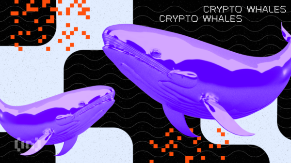 Wieloryb Posiadajacy 2995 Btc Wybudzil Sie Ze Snu Po 6 Latach E0e6db5, NEWSFIN