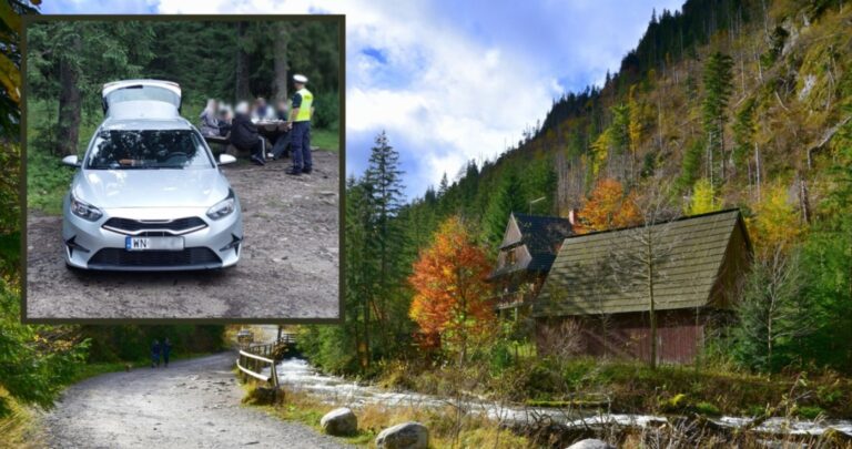 Wjechał samochodem do Doliny Chochołowskiej. Turysta z Kuwejtu dostał wysoki mandat Wjechał samochodem do Doliny Chochołowskiej. Turysta z Kuwejtu dostał wysoki mandat